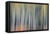 Kinetic VT 1803-Steven Maxx-Framed Stretched Canvas