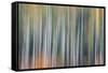 Kinetic VT 1803-Steven Maxx-Framed Stretched Canvas