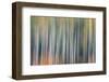 Kinetic VT 1803-Steven Maxx-Framed Photographic Print