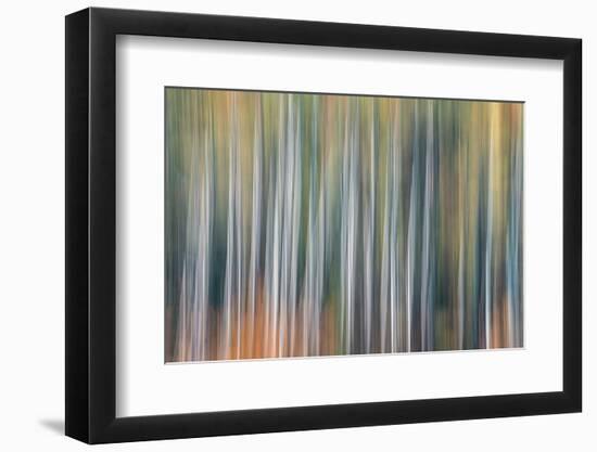 Kinetic VT 1803-Steven Maxx-Framed Photographic Print