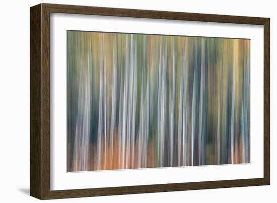 Kinetic VT 1803-Steven Maxx-Framed Photographic Print