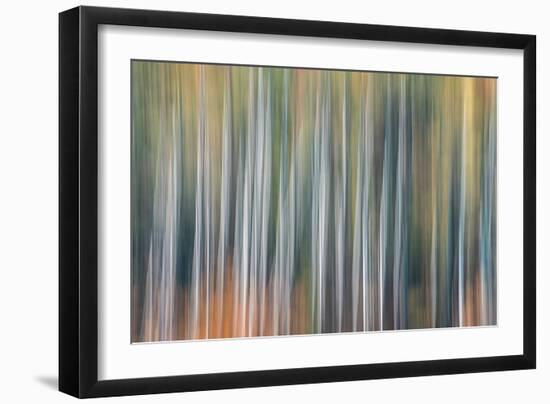 Kinetic VT 1803-Steven Maxx-Framed Photographic Print