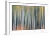 Kinetic VT 1803-Steven Maxx-Framed Photographic Print