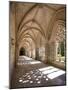 King Afonso V Cloister, Monastery of Santa Maria Da Vitoria, Batalha, Estremadura, Portugal-Michele Falzone-Mounted Photographic Print