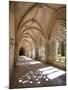 King Afonso V Cloister, Monastery of Santa Maria Da Vitoria, Batalha, Estremadura, Portugal-Michele Falzone-Mounted Photographic Print