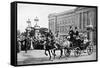 King and Queen Outside Buckingham Palace, Wwi-null-Framed Stretched Canvas