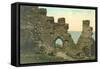 King Arthur's Castle Walls, Tintagle, Cornwall, England-null-Framed Stretched Canvas