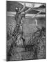 King Arthur- Sir Bedivere throwing Excalibur-Walter Crane-Mounted Giclee Print