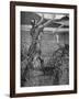 King Arthur- Sir Bedivere throwing Excalibur-Walter Crane-Framed Giclee Print