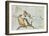 King Bird of Paradise, 1909-Edward Adrian Wilson-Framed Giclee Print