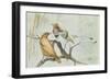 King Bird of Paradise, 1909-Edward Adrian Wilson-Framed Giclee Print