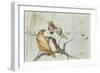 King Bird of Paradise, 1909-Edward Adrian Wilson-Framed Giclee Print