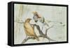 King Bird of Paradise, 1909-Edward Adrian Wilson-Framed Stretched Canvas