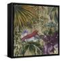 King Bird of Paradise-Bill Jackson-Framed Stretched Canvas