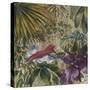 King Bird of Paradise-Bill Jackson-Stretched Canvas
