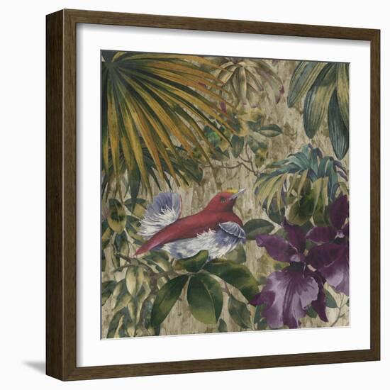 King Bird of Paradise-Bill Jackson-Framed Giclee Print