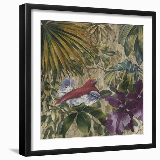 King Bird of Paradise-Bill Jackson-Framed Giclee Print