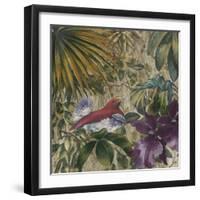 King Bird of Paradise-Bill Jackson-Framed Giclee Print