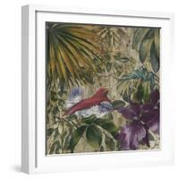 King Bird of Paradise-Bill Jackson-Framed Giclee Print