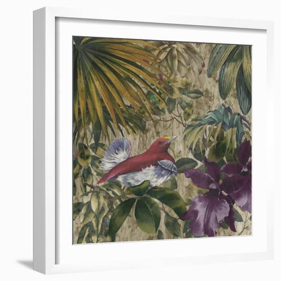 King Bird of Paradise-Bill Jackson-Framed Giclee Print