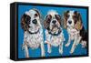 King Charles Family-Carolee Vitaletti-Framed Stretched Canvas