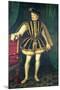 King Charles IX of France-Francois Clouet-Mounted Giclee Print