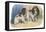 King Charles Spaniel, Blenheim-null-Framed Stretched Canvas