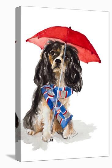 King Charles Spaniel In The Rain-Lanie Loreth-Stretched Canvas