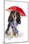 King Charles Spaniel In The Rain-Lanie Loreth-Mounted Photographic Print