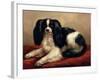 King Charles Spaniel Seated on a Red Cushion-Eugene Joseph Verboeckhoven-Framed Giclee Print