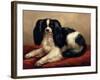 King Charles Spaniel Seated on a Red Cushion-Eugene Joseph Verboeckhoven-Framed Giclee Print