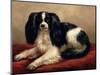 King Charles Spaniel Seated on a Red Cushion-Eugene Joseph Verboeckhoven-Mounted Giclee Print