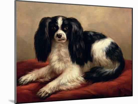 King Charles Spaniel Seated on a Red Cushion-Eugene Joseph Verboeckhoven-Mounted Giclee Print