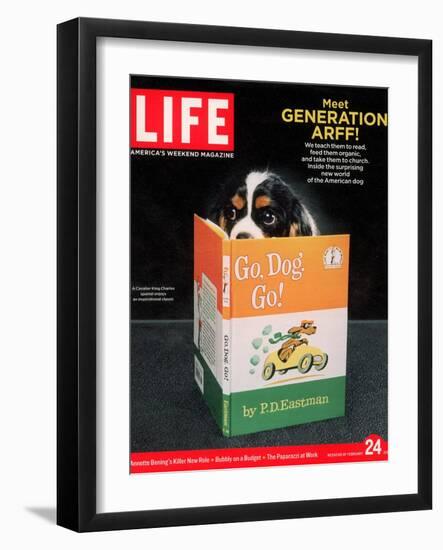 King Charles Spaniel with his Nose in the Children's Book: Go, Dog. Go!, February 24, 2006-Chris Buck-Framed Photographic Print