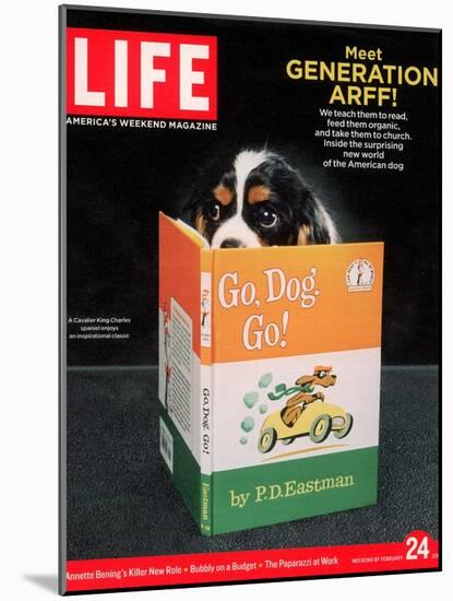 King Charles Spaniel with his Nose in the Children's Book: Go, Dog. Go!, February 24, 2006-Chris Buck-Mounted Photographic Print