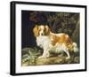 King Charles Spaniel-George Stubbs-Framed Premium Giclee Print