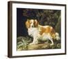 King Charles Spaniel-George Stubbs-Framed Premium Giclee Print