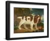 King Charles Spaniel-William Thompson-Framed Premium Giclee Print