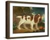 King Charles Spaniel-William Thompson-Framed Giclee Print