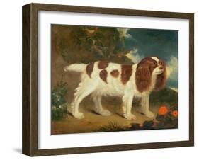 King Charles Spaniel-William Thompson-Framed Giclee Print