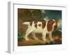 King Charles Spaniel-William Thompson-Framed Giclee Print