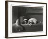 King Charles Spaniels the Cavalier Pets-J. Outrim-Framed Art Print