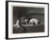 King Charles Spaniels the Cavalier Pets-J. Outrim-Framed Art Print