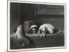 King Charles Spaniels the Cavalier Pets-J. Outrim-Mounted Art Print