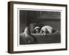 King Charles Spaniels the Cavalier Pets-J. Outrim-Framed Art Print