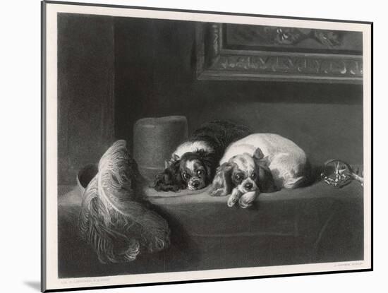 King Charles Spaniels the Cavalier Pets-J. Outrim-Mounted Art Print