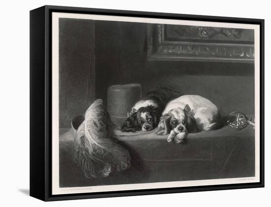 King Charles Spaniels the Cavalier Pets-J. Outrim-Framed Stretched Canvas