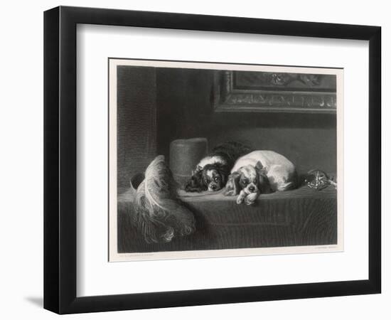 King Charles Spaniels the Cavalier Pets-J. Outrim-Framed Art Print