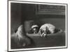 King Charles Spaniels the Cavalier Pets-J. Outrim-Mounted Art Print