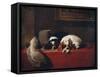 'King Charles Spaniels (?The Cavalier?s Pets?)', 1845, (c1915)-Edwin Henry Landseer-Framed Stretched Canvas